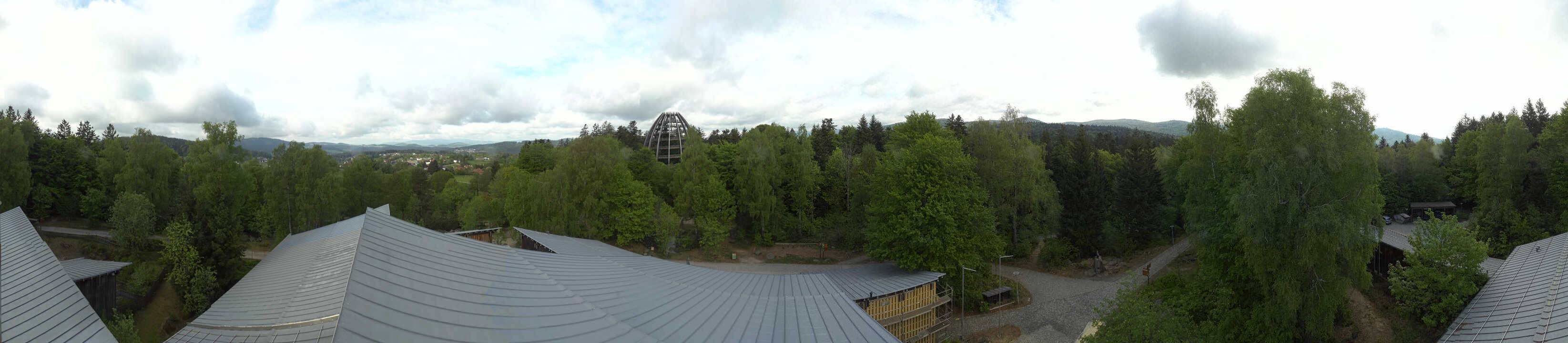 Archived image Webcam Neuschönau - Tree Top Walk Bavarian Forest