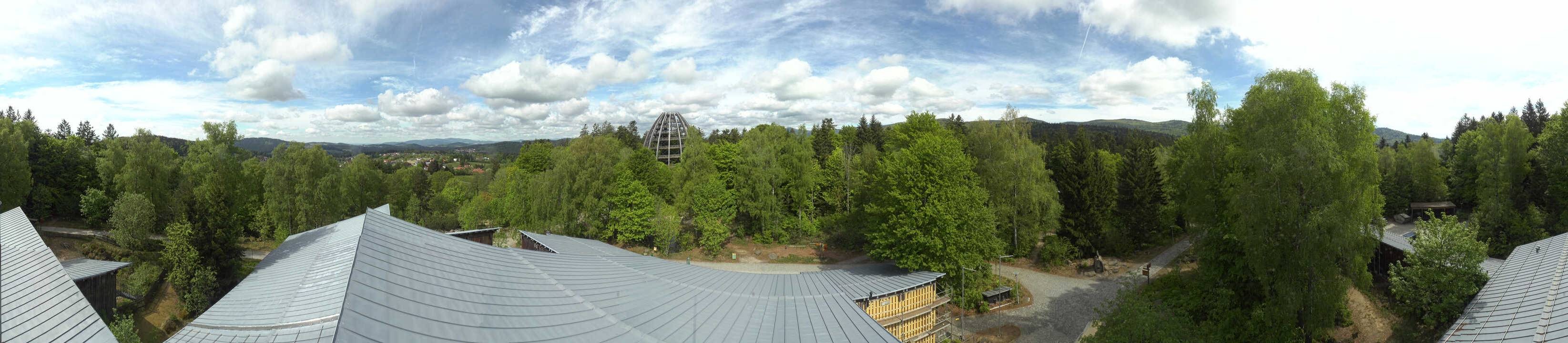 Archiv Foto Webcam Neuschönau - Baumwipfelpfad Bayerischer Wald