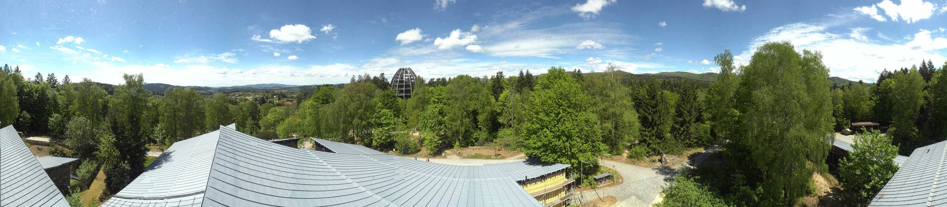 Archiv Foto Webcam Neuschönau - Baumwipfelpfad Bayerischer Wald