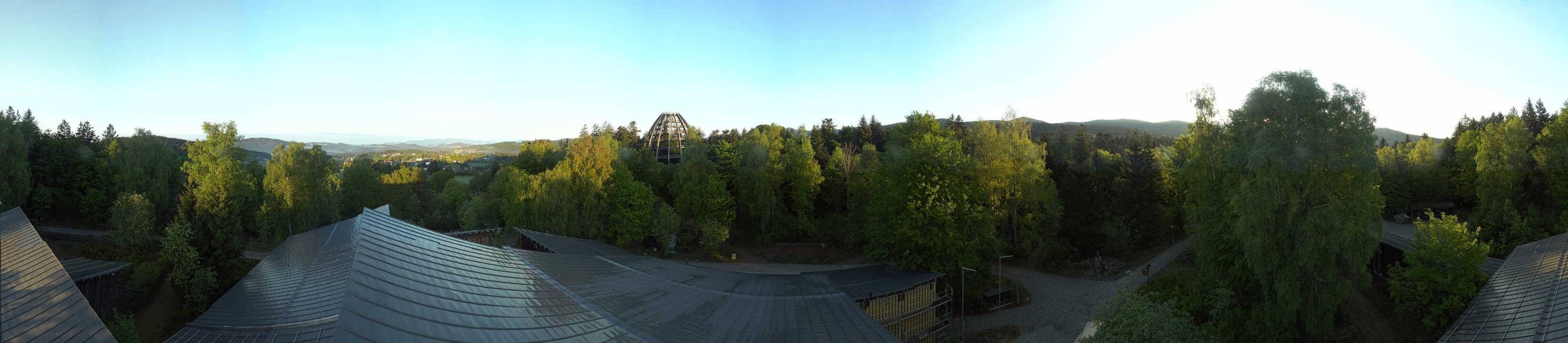 Archiv Foto Webcam Neuschönau - Baumwipfelpfad Bayerischer Wald