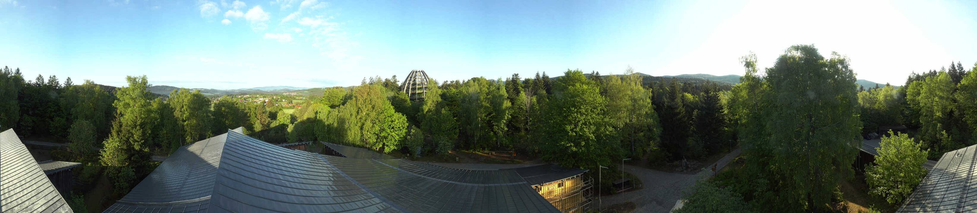 Archiv Foto Webcam Neuschönau - Baumwipfelpfad Bayerischer Wald