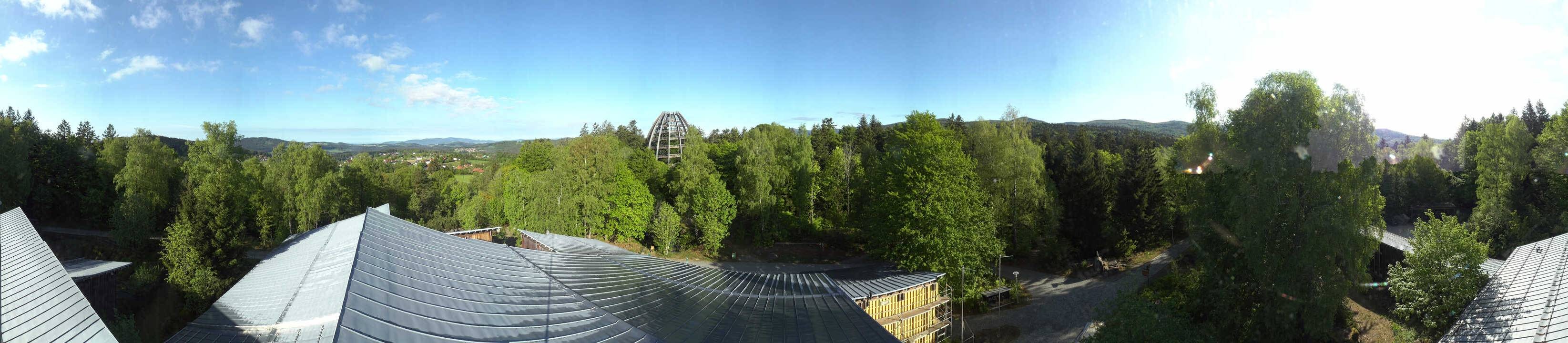 Archiv Foto Webcam Neuschönau - Baumwipfelpfad Bayerischer Wald