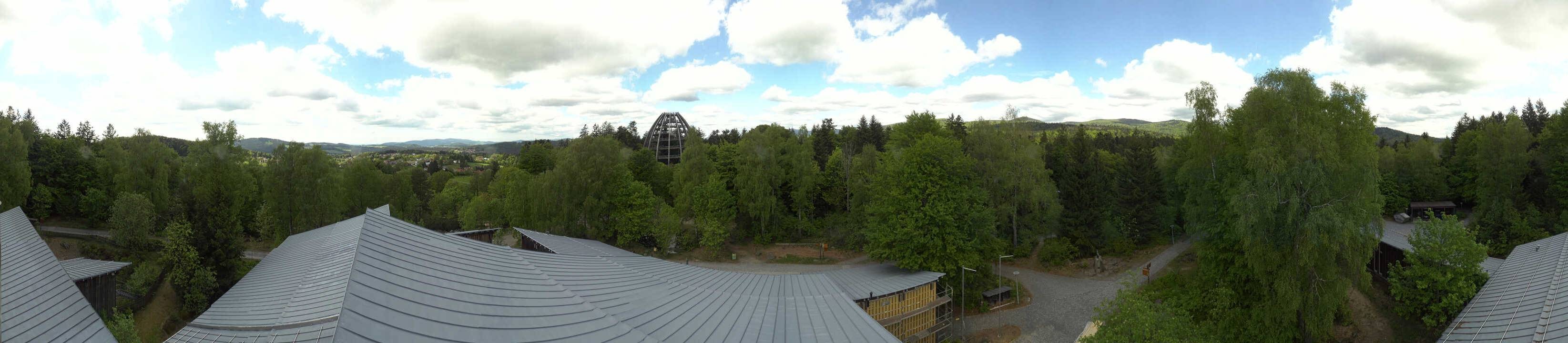 Archiv Foto Webcam Neuschönau - Baumwipfelpfad Bayerischer Wald