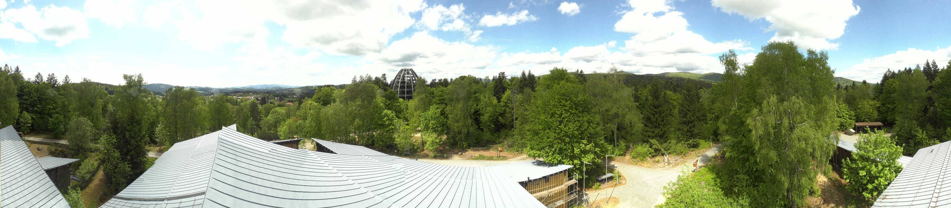 Archiv Foto Webcam Neuschönau - Baumwipfelpfad Bayerischer Wald