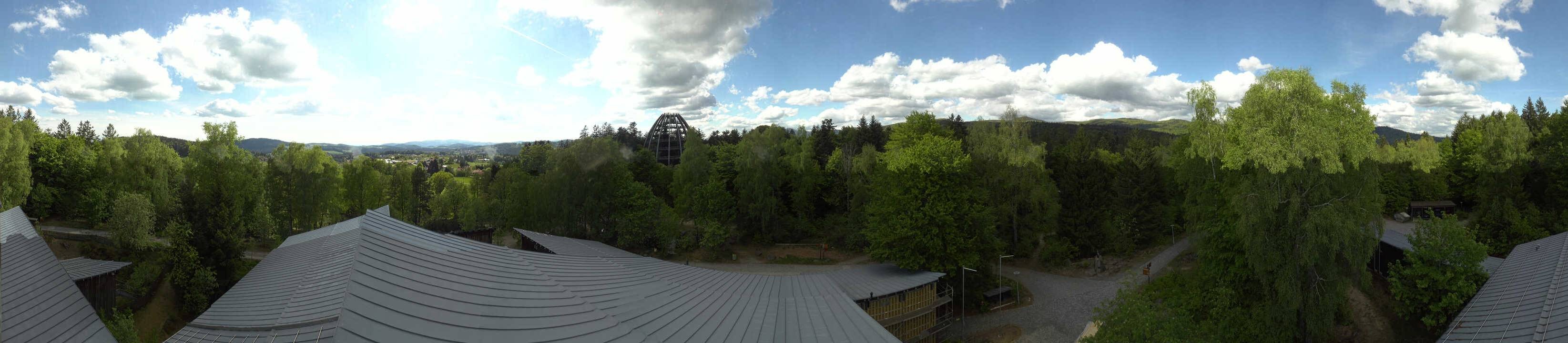 Archiv Foto Webcam Neuschönau - Baumwipfelpfad Bayerischer Wald