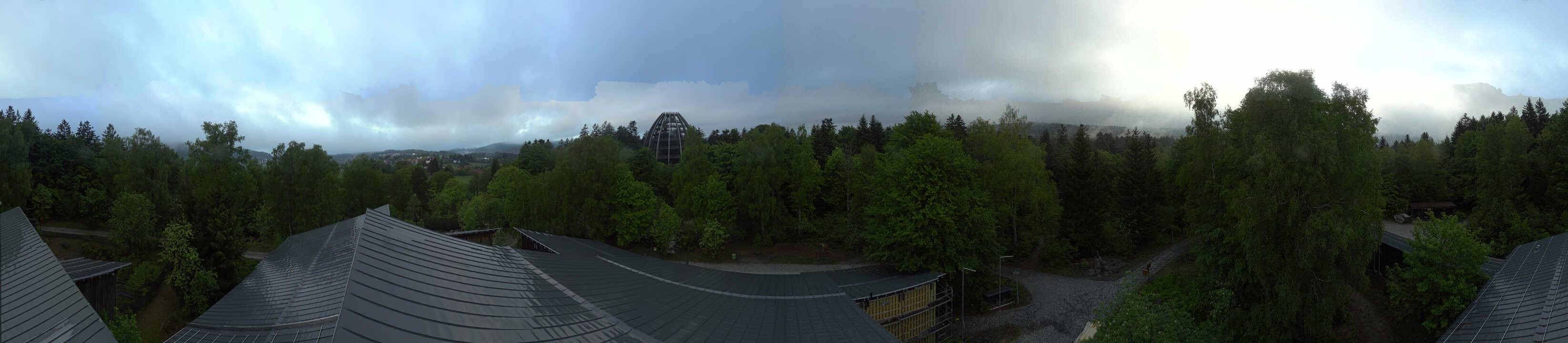 Archiv Foto Webcam Neuschönau - Baumwipfelpfad Bayerischer Wald