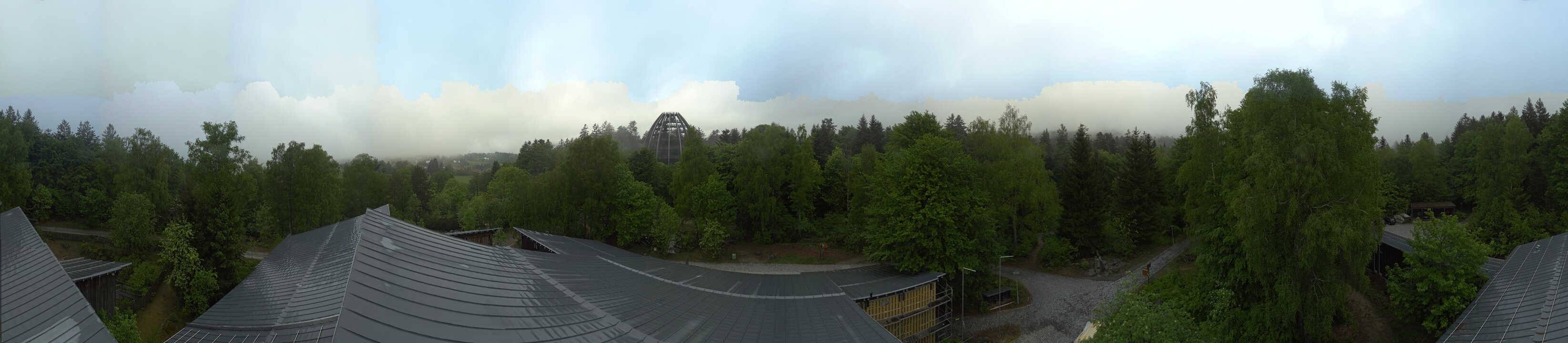 Archiv Foto Webcam Neuschönau - Baumwipfelpfad Bayerischer Wald