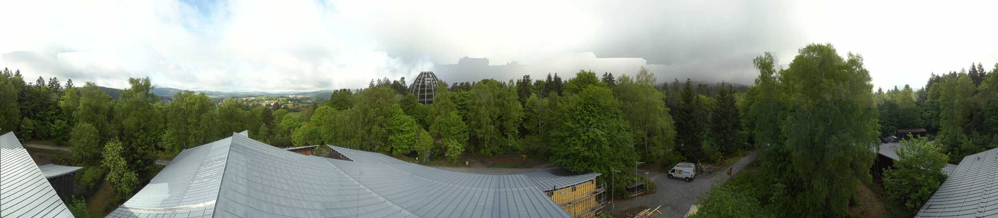 Archiv Foto Webcam Neuschönau - Baumwipfelpfad Bayerischer Wald