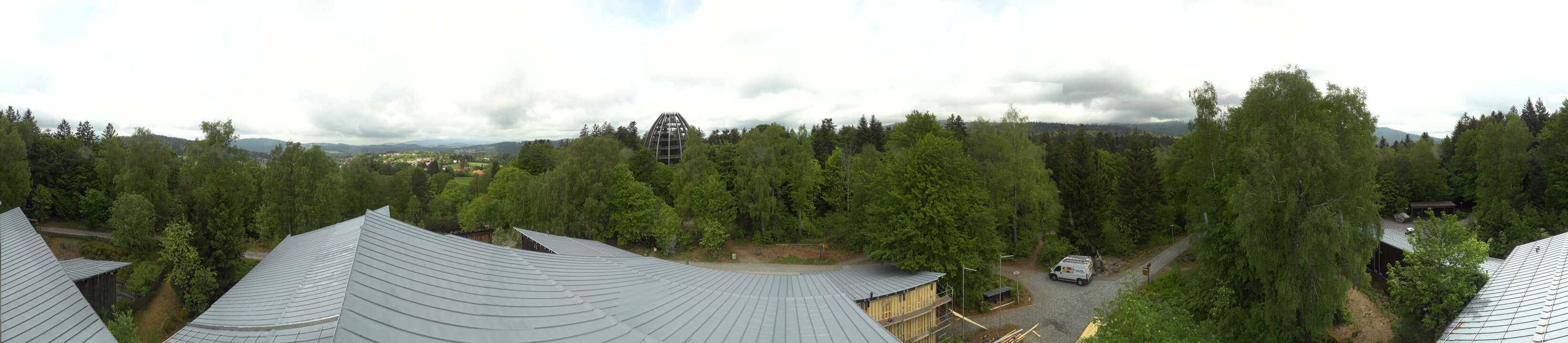 Archiv Foto Webcam Neuschönau - Baumwipfelpfad Bayerischer Wald