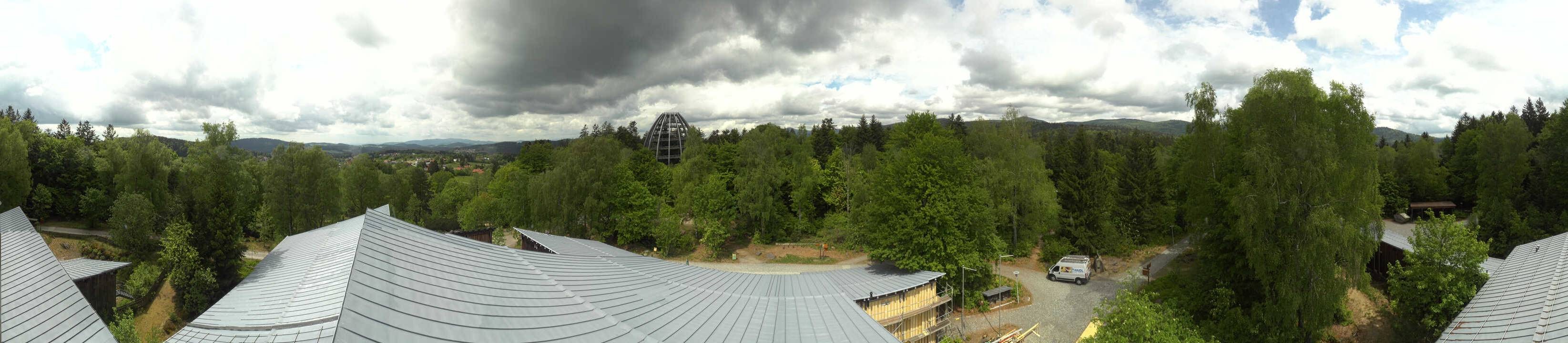 Archiv Foto Webcam Neuschönau - Baumwipfelpfad Bayerischer Wald