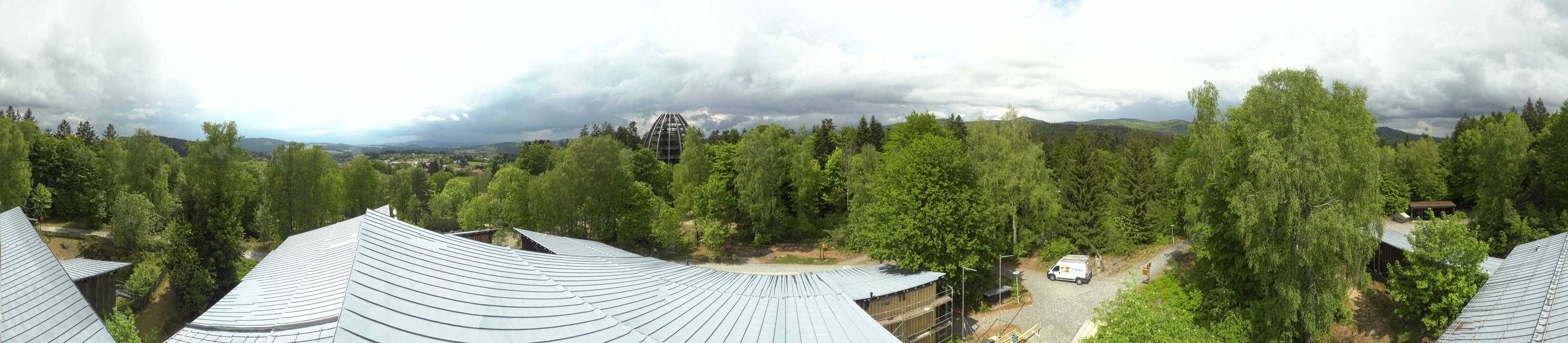 Archiv Foto Webcam Neuschönau - Baumwipfelpfad Bayerischer Wald