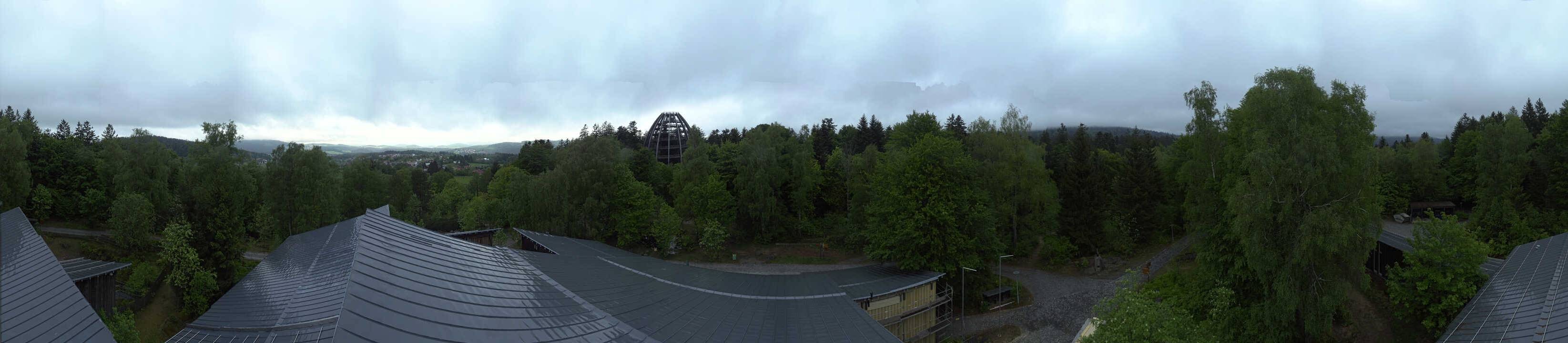 Archiv Foto Webcam Neuschönau - Baumwipfelpfad Bayerischer Wald