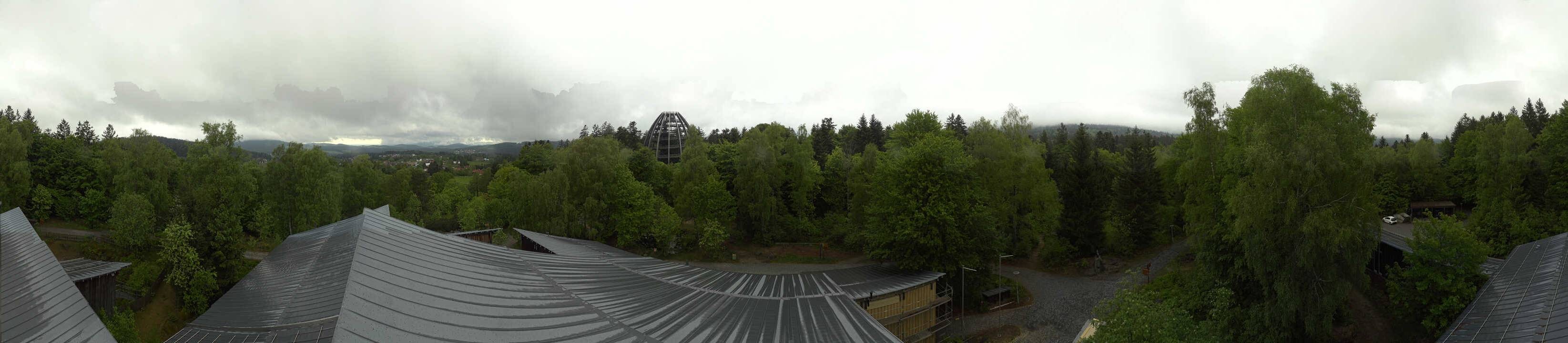 Archiv Foto Webcam Neuschönau - Baumwipfelpfad Bayerischer Wald