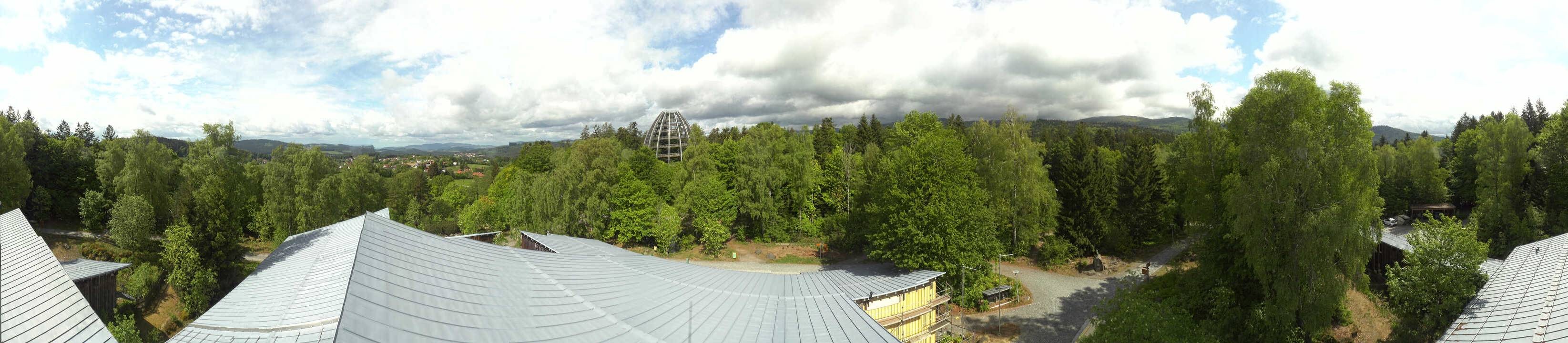 Archiv Foto Webcam Neuschönau - Baumwipfelpfad Bayerischer Wald