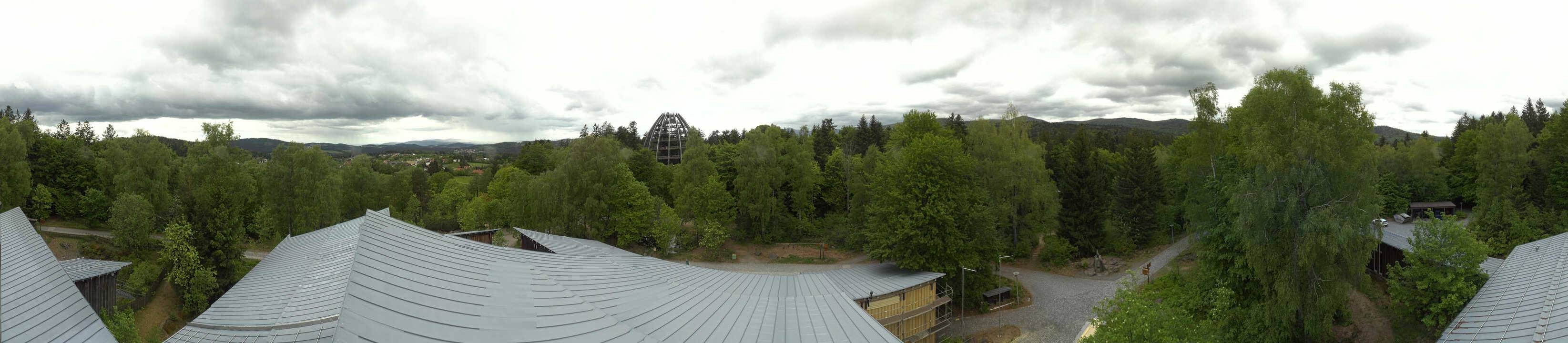 Archiv Foto Webcam Neuschönau - Baumwipfelpfad Bayerischer Wald