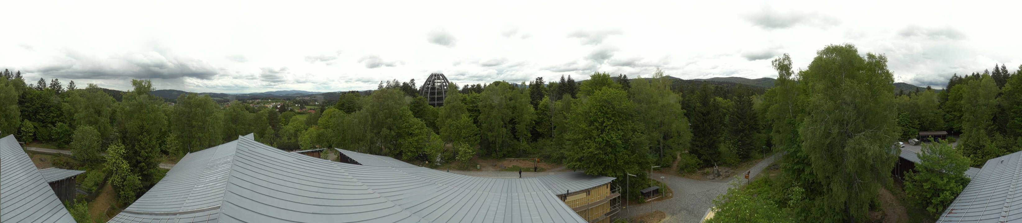 Archiv Foto Webcam Neuschönau - Baumwipfelpfad Bayerischer Wald