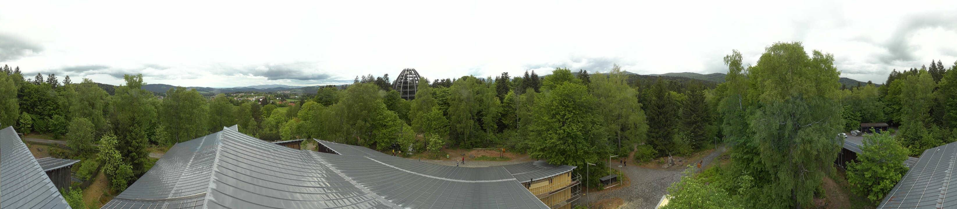Archiv Foto Webcam Neuschönau - Baumwipfelpfad Bayerischer Wald