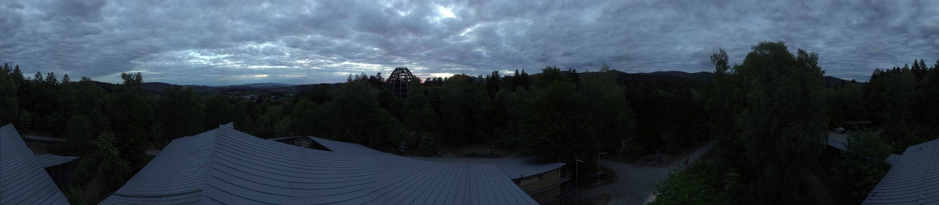Archiv Foto Webcam Neuschönau - Baumwipfelpfad Bayerischer Wald