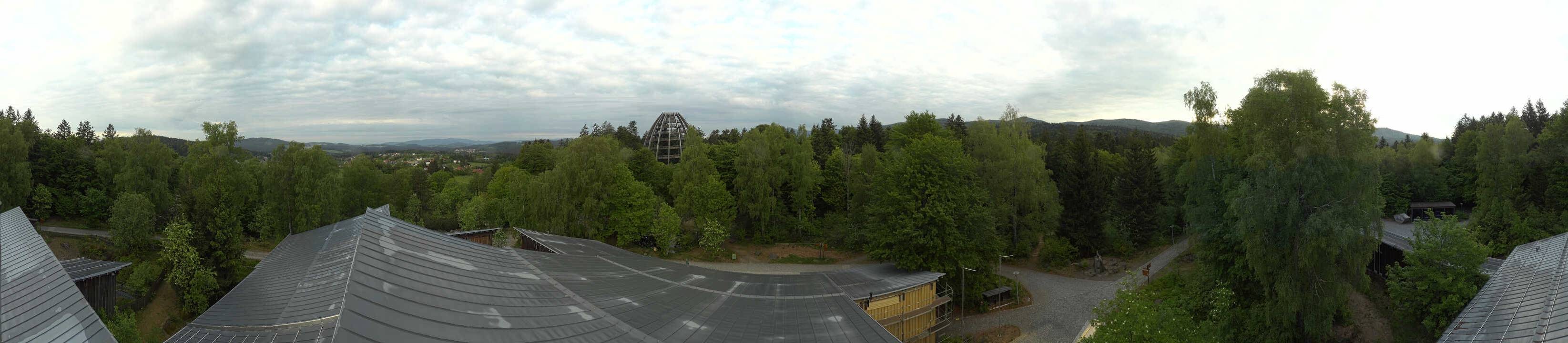 Archiv Foto Webcam Neuschönau - Baumwipfelpfad Bayerischer Wald