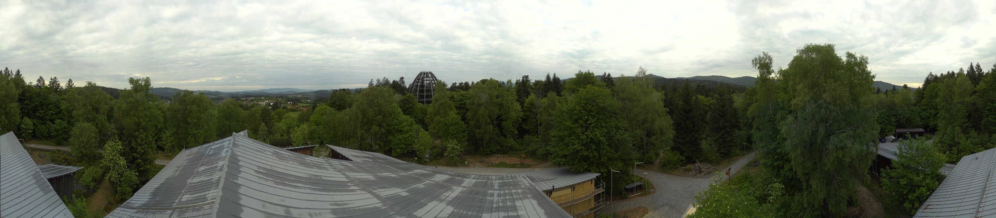 Archiv Foto Webcam Neuschönau - Baumwipfelpfad Bayerischer Wald