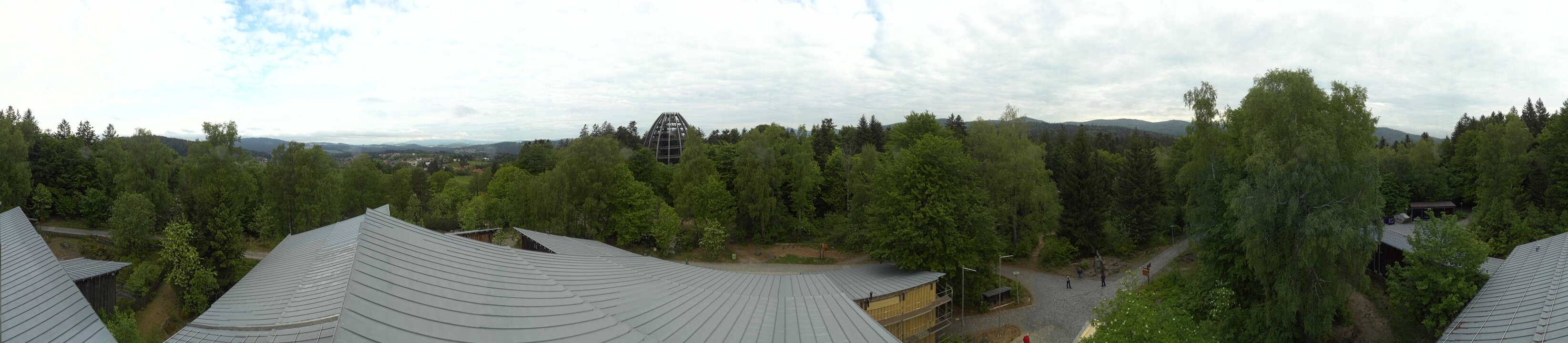 Archiv Foto Webcam Neuschönau - Baumwipfelpfad Bayerischer Wald