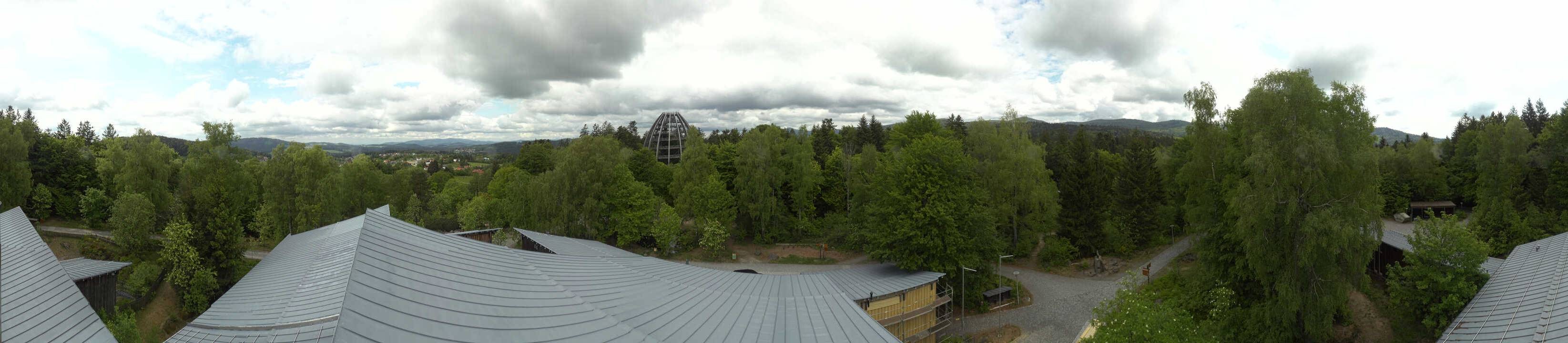 Archiv Foto Webcam Neuschönau - Baumwipfelpfad Bayerischer Wald