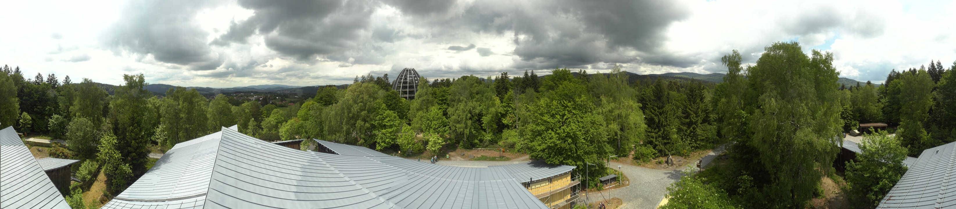 Archiv Foto Webcam Neuschönau - Baumwipfelpfad Bayerischer Wald