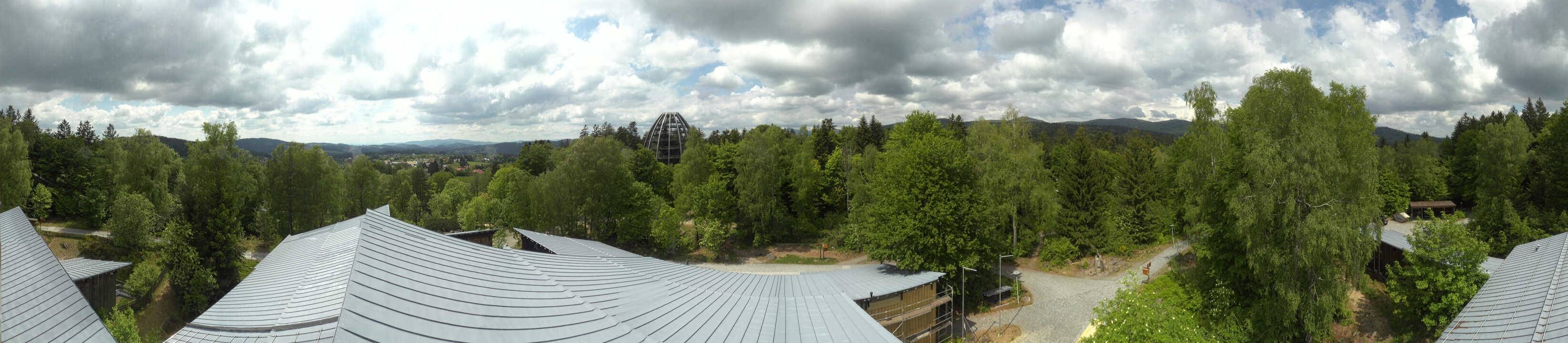 Archived image Webcam Neuschönau - Tree Top Walk Bavarian Forest