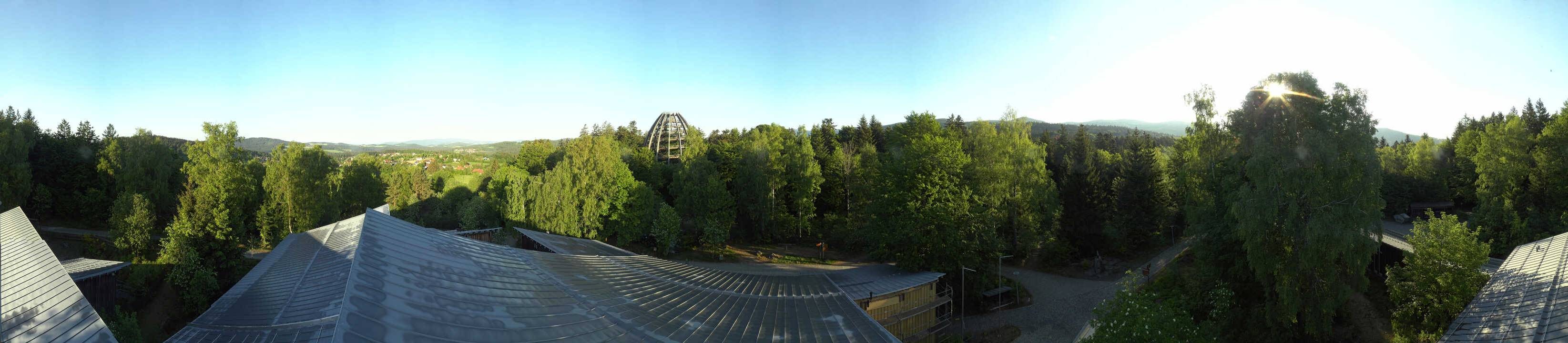 Archiv Foto Webcam Neuschönau - Baumwipfelpfad Bayerischer Wald