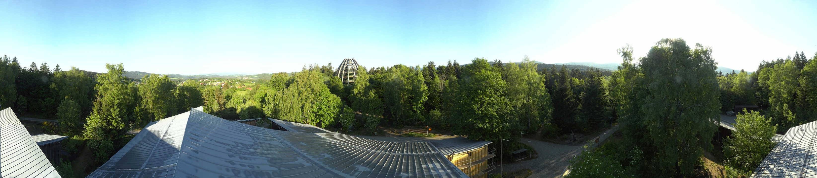 Archiv Foto Webcam Neuschönau - Baumwipfelpfad Bayerischer Wald