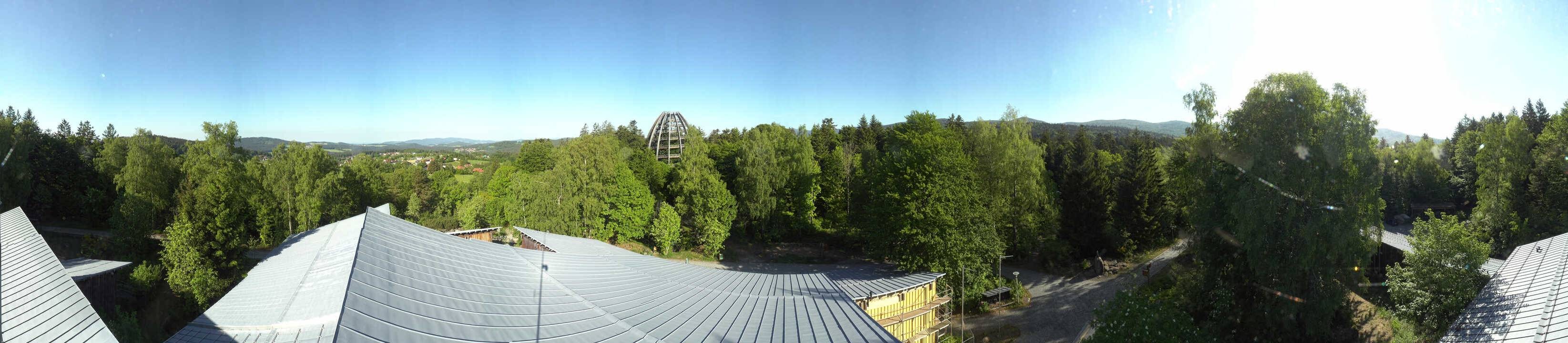 Archiv Foto Webcam Neuschönau - Baumwipfelpfad Bayerischer Wald