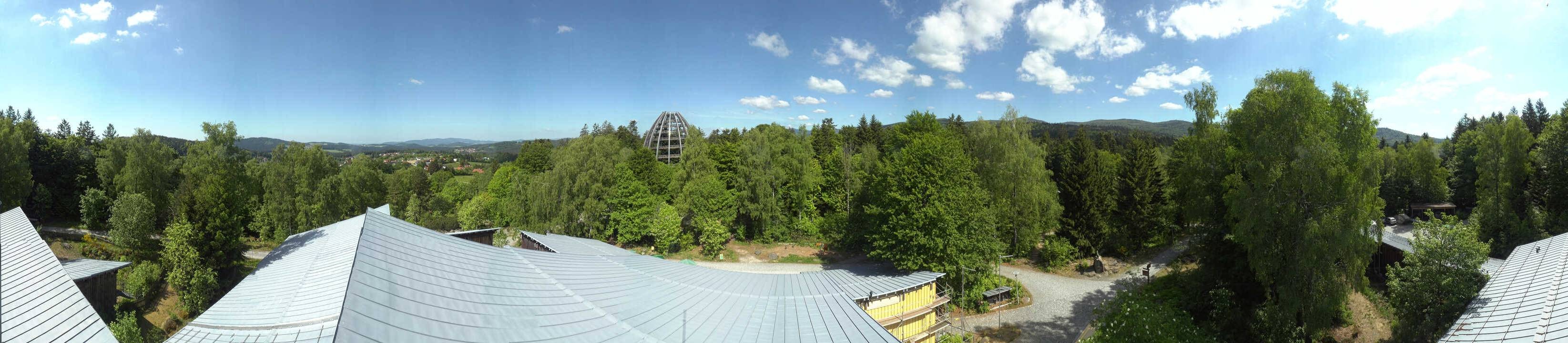 Archiv Foto Webcam Neuschönau - Baumwipfelpfad Bayerischer Wald