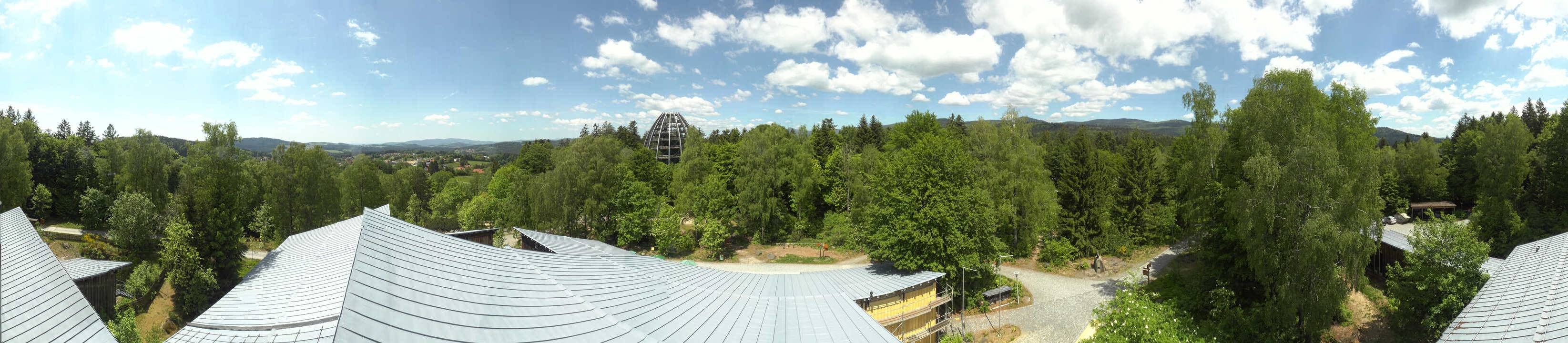 Archiv Foto Webcam Neuschönau - Baumwipfelpfad Bayerischer Wald