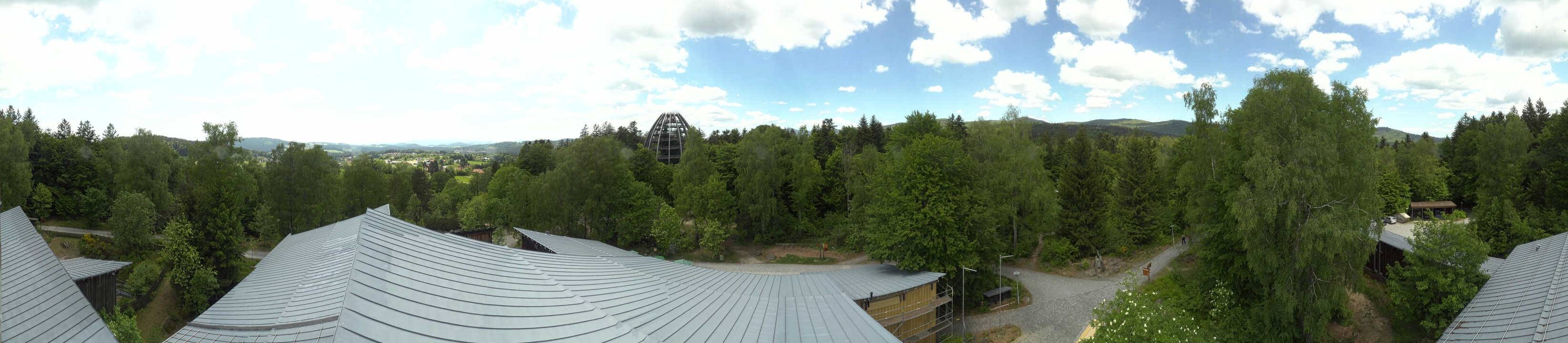 Archiv Foto Webcam Neuschönau - Baumwipfelpfad Bayerischer Wald