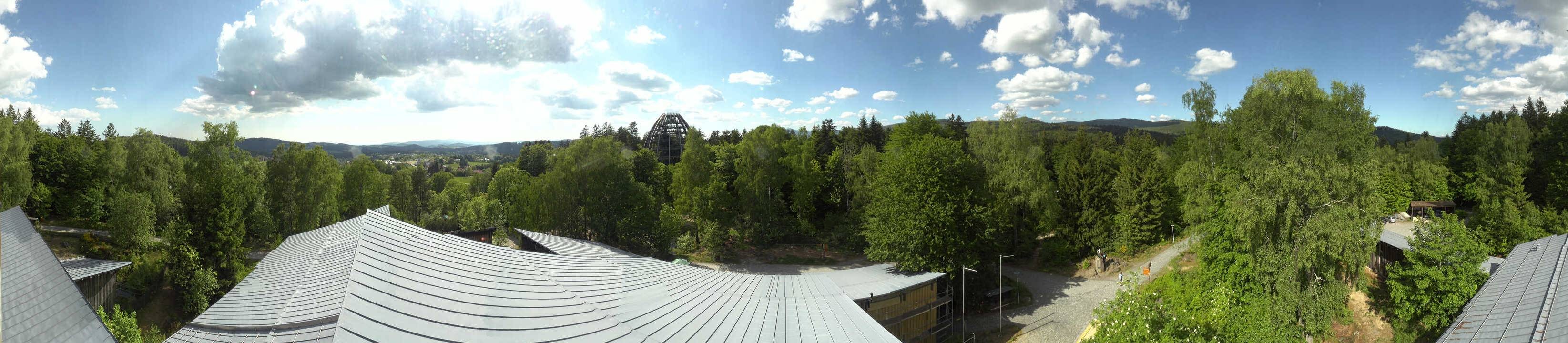 Archiv Foto Webcam Neuschönau - Baumwipfelpfad Bayerischer Wald