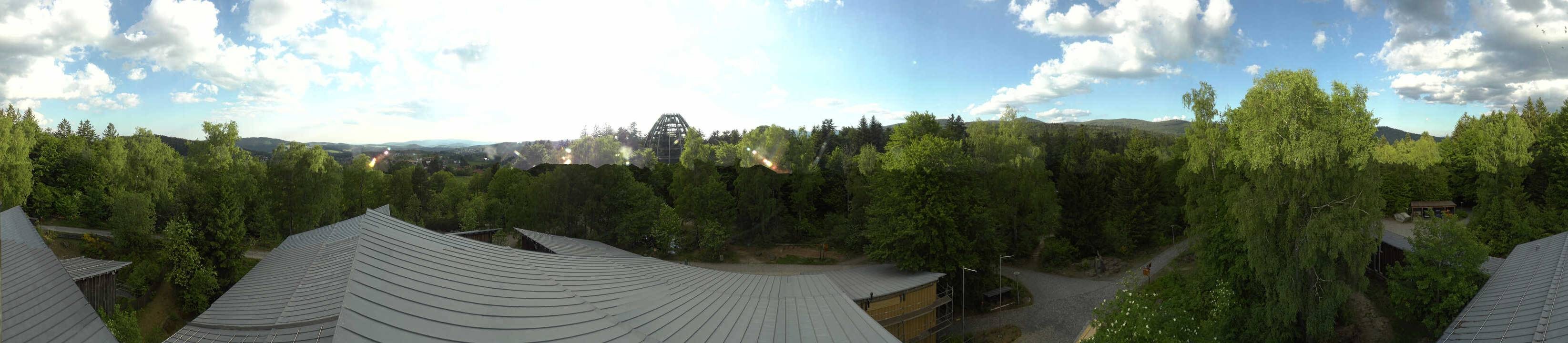 Archiv Foto Webcam Neuschönau - Baumwipfelpfad Bayerischer Wald