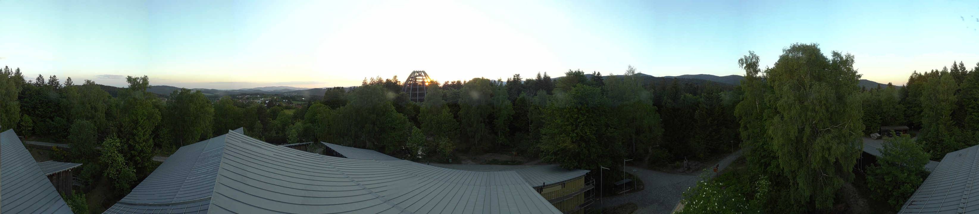 Archiv Foto Webcam Neuschönau - Baumwipfelpfad Bayerischer Wald