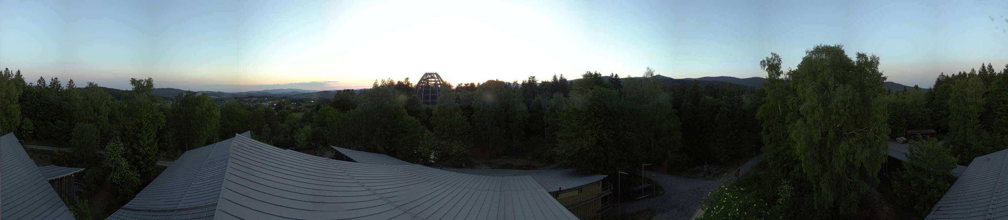 Archiv Foto Webcam Neuschönau - Baumwipfelpfad Bayerischer Wald
