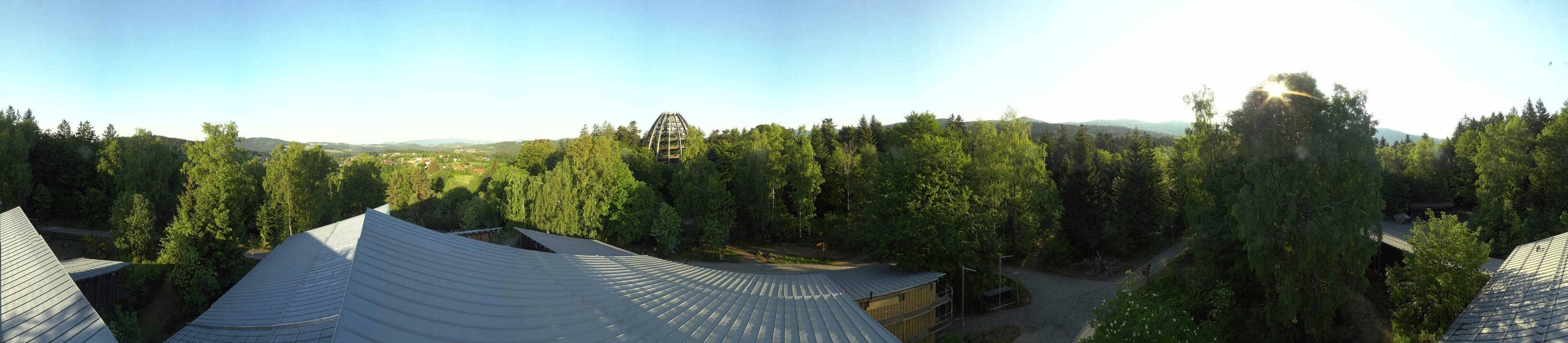 Archiv Foto Webcam Neuschönau - Baumwipfelpfad Bayerischer Wald