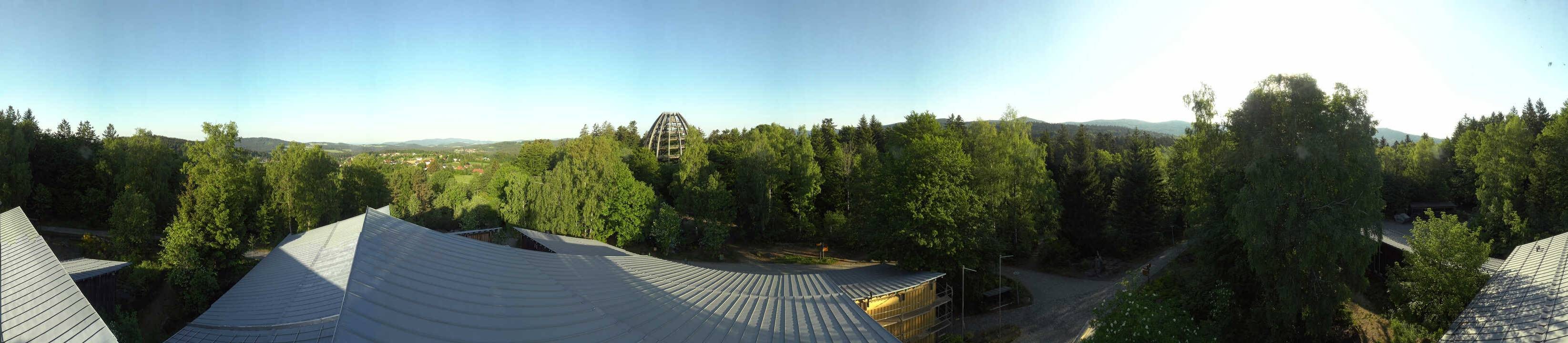 Archiv Foto Webcam Neuschönau - Baumwipfelpfad Bayerischer Wald