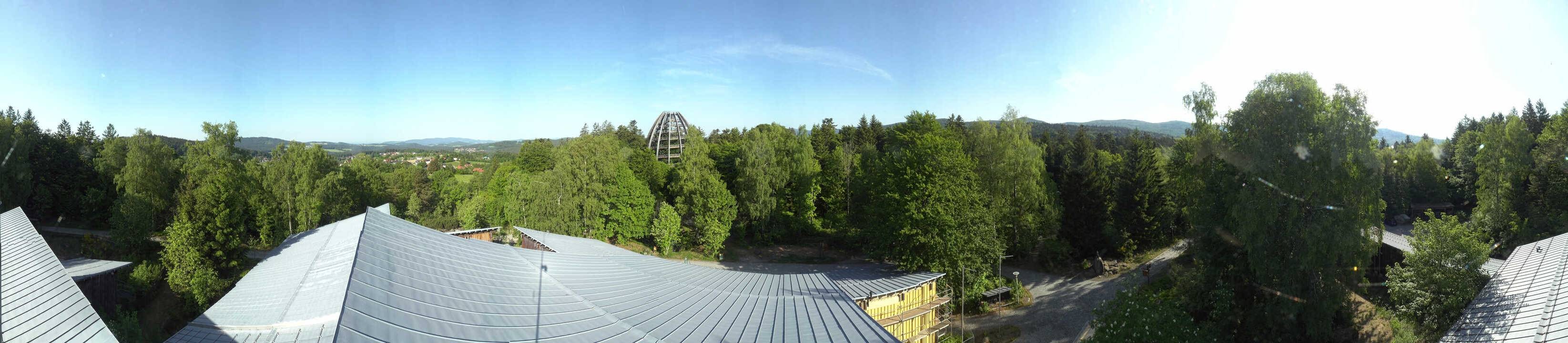 Archiv Foto Webcam Neuschönau - Baumwipfelpfad Bayerischer Wald