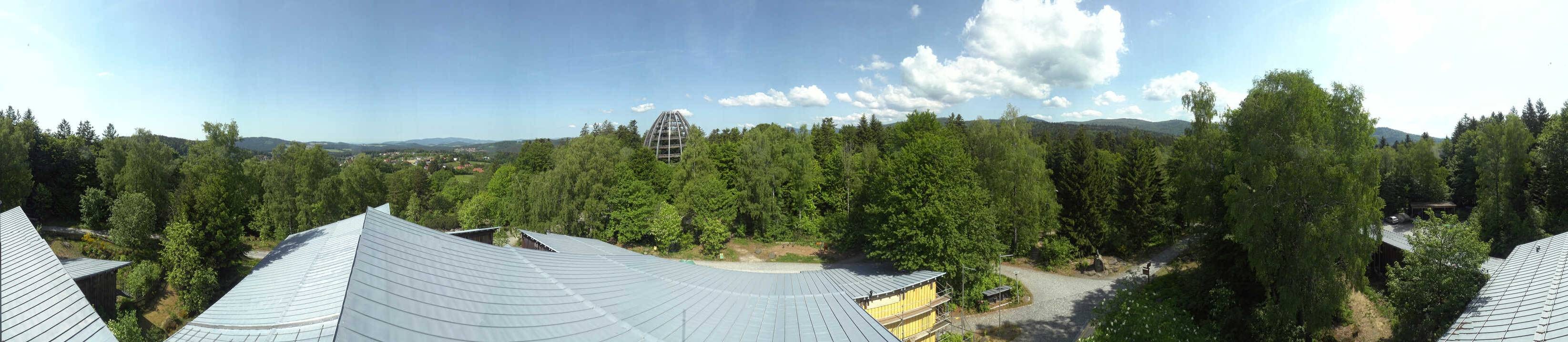 Archiv Foto Webcam Neuschönau - Baumwipfelpfad Bayerischer Wald