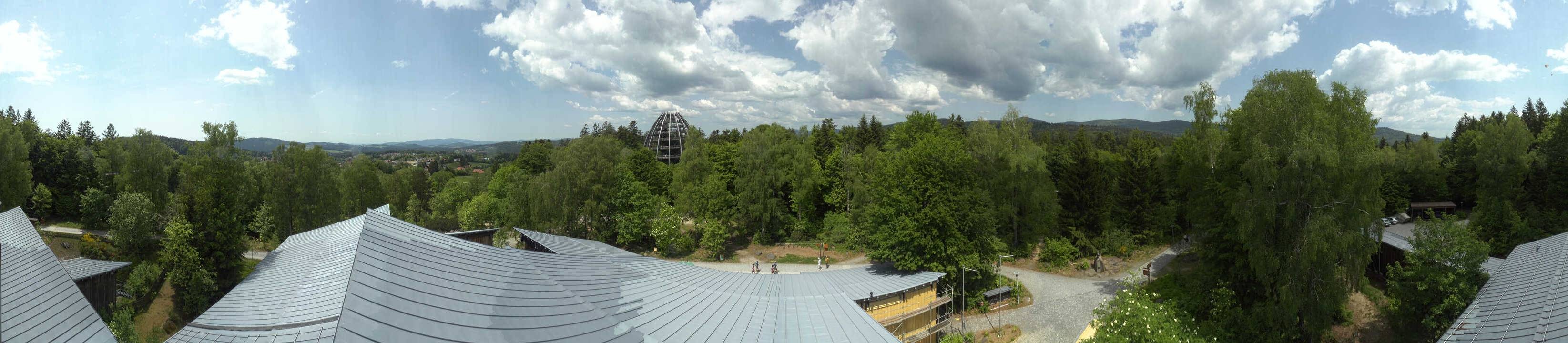 Archiv Foto Webcam Neuschönau - Baumwipfelpfad Bayerischer Wald