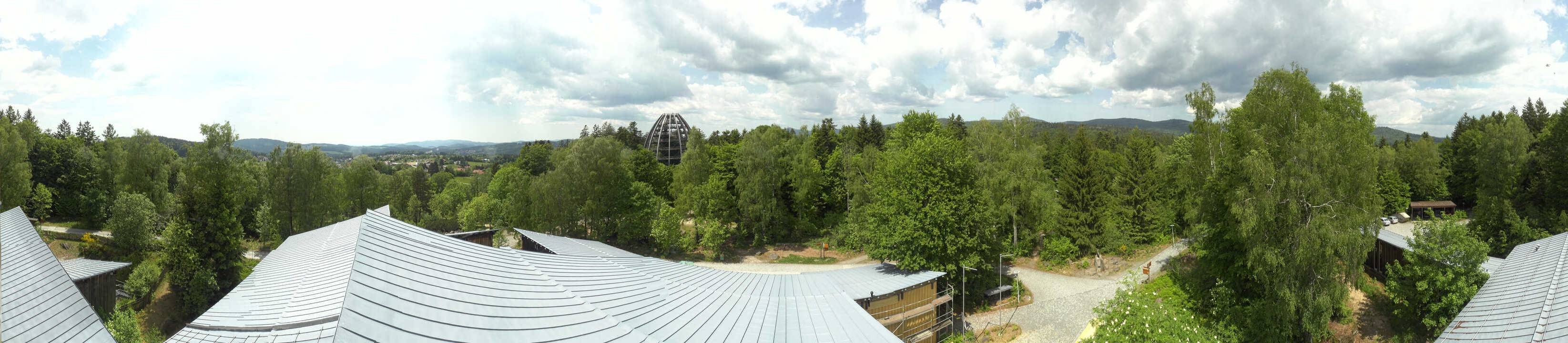 Archiv Foto Webcam Neuschönau - Baumwipfelpfad Bayerischer Wald