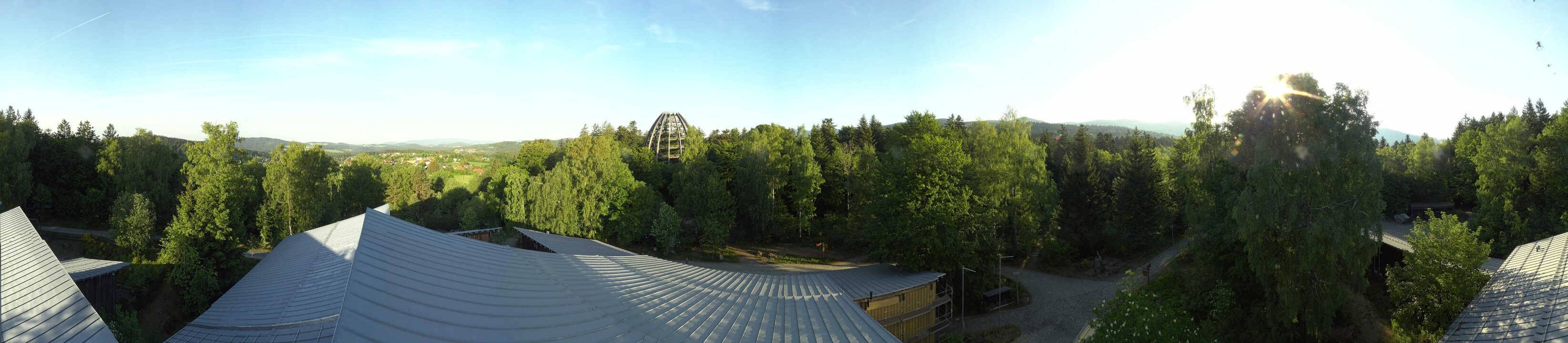 Archiv Foto Webcam Neuschönau - Baumwipfelpfad Bayerischer Wald