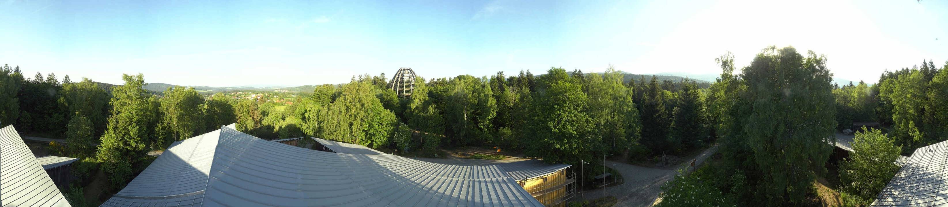 Archiv Foto Webcam Neuschönau - Baumwipfelpfad Bayerischer Wald
