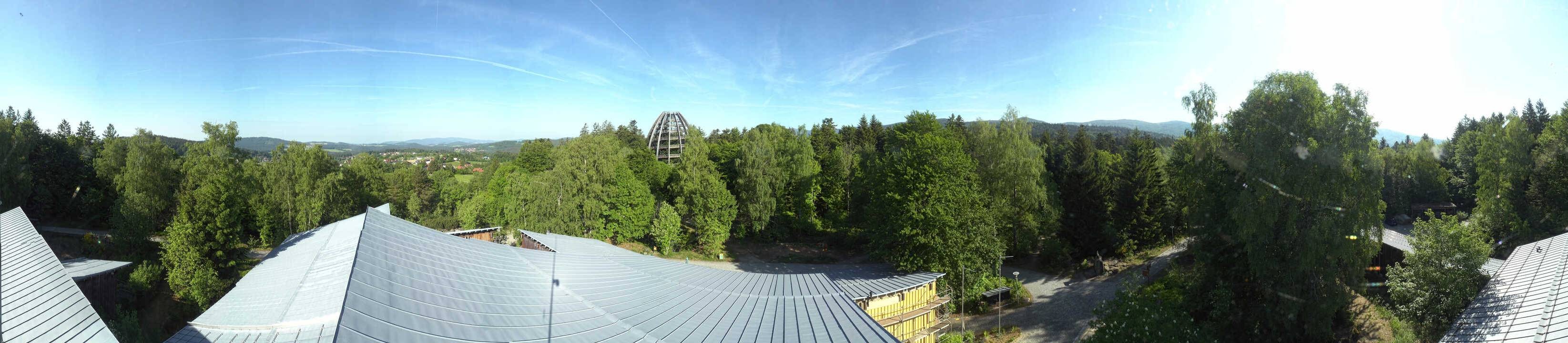 Archiv Foto Webcam Neuschönau - Baumwipfelpfad Bayerischer Wald
