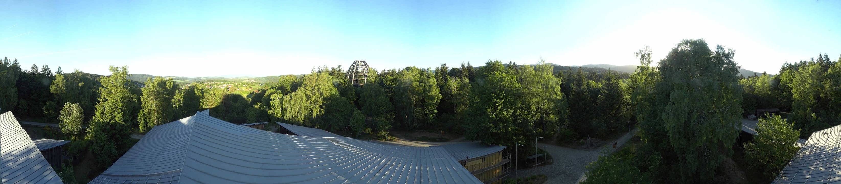 Archived image Webcam Neuschönau - Tree Top Walk Bavarian Forest