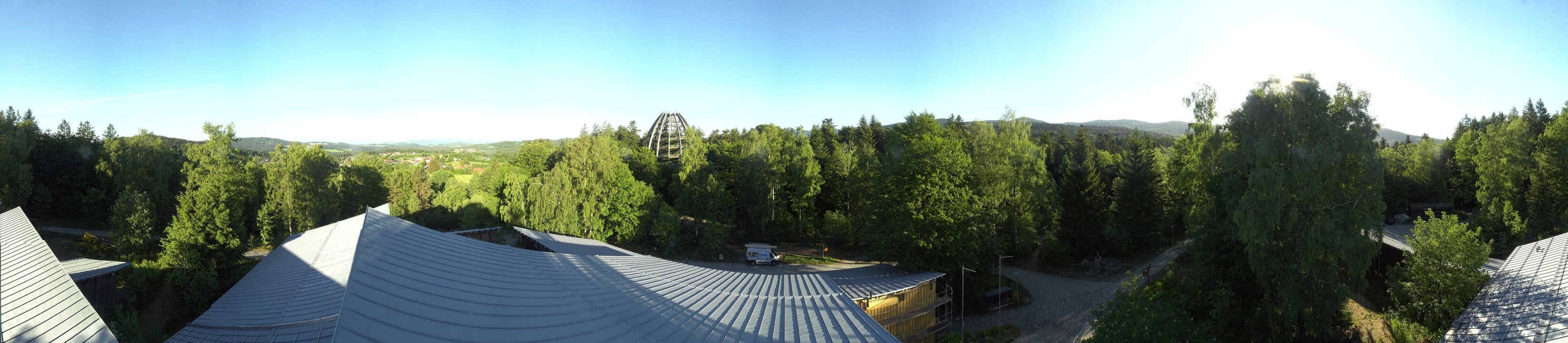 Archived image Webcam Neuschönau - Tree Top Walk Bavarian Forest