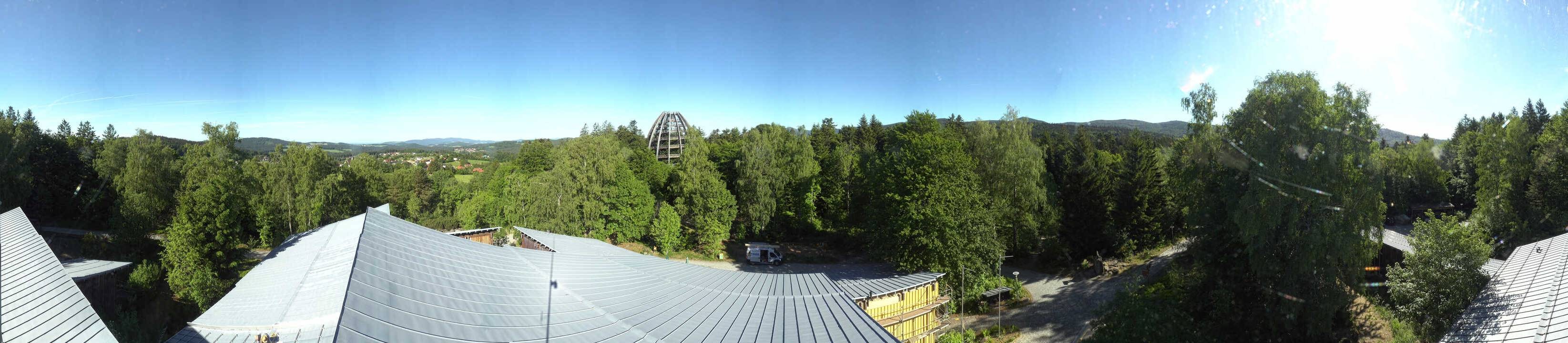 Archiv Foto Webcam Neuschönau - Baumwipfelpfad Bayerischer Wald
